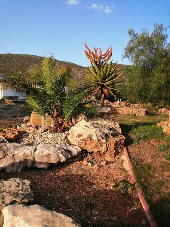 Duas Casas De Ferias Medronhal Faro Em 520 - 2 Exteriör bild
