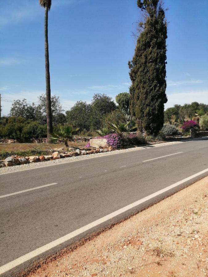 Duas Casas De Ferias Medronhal Faro Em 520 - 2 Exteriör bild