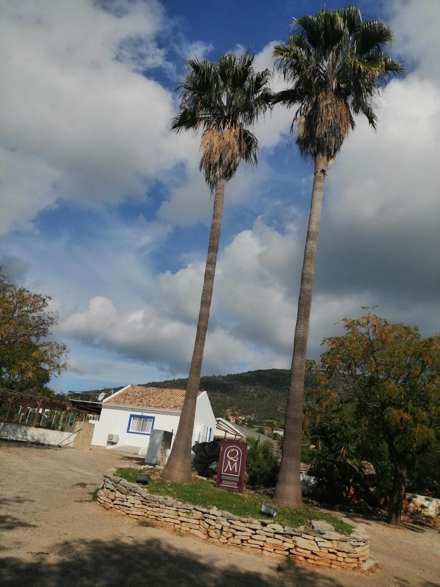 Duas Casas De Ferias Medronhal Faro Em 520 - 2 Exteriör bild